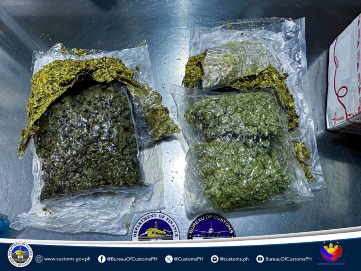 P1.4M na halaga ng high-grade marijuana, nakumpiska sa Pasay City