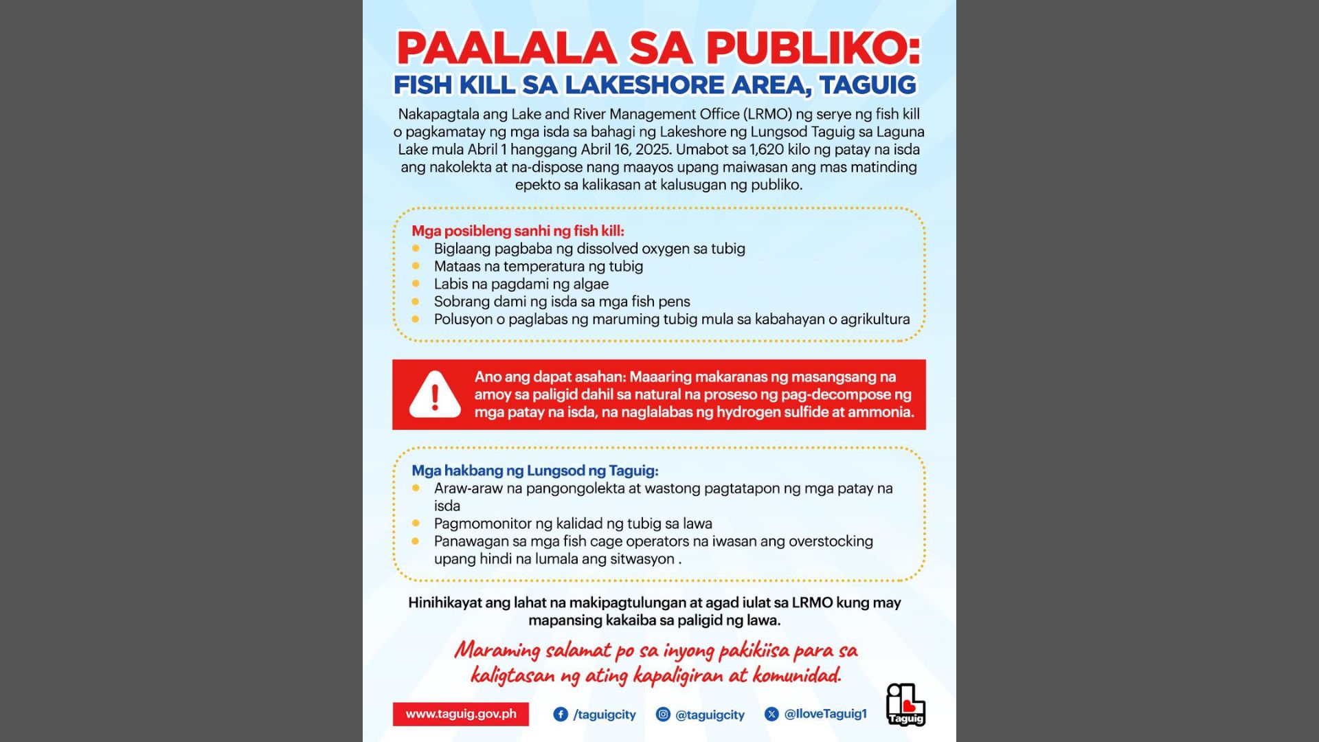 “Fish Kill” naitala sa Lakeshore Area sa Taguig City