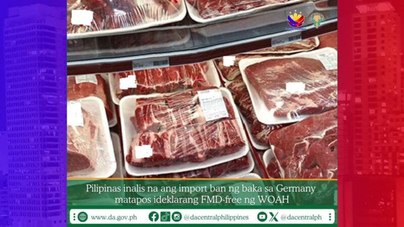 Ban sa pag-aangkat ng baka mula Germany binawi na ng DA