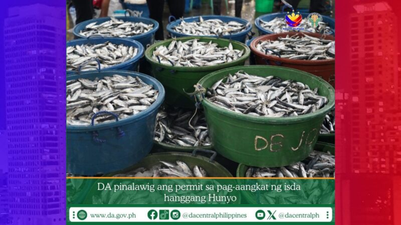 Deadline sa pag-iisyu ng import permits para sa pag-aangkat ng isda at iba pang seafood pinalawig ng DA