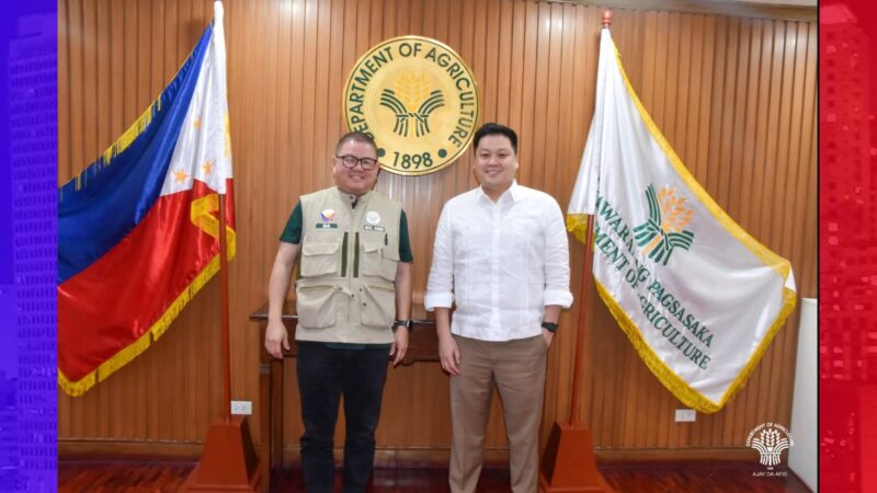 DA, NFA magsu-suplay ng 490,000 na sako ng bigas sa DSWD