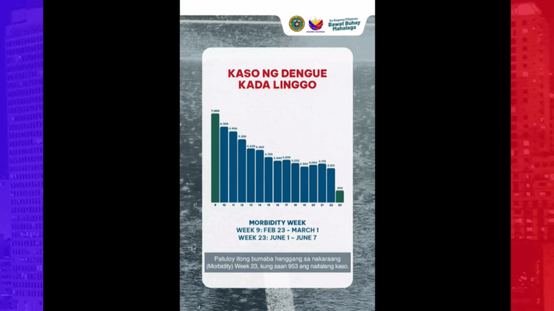 DOH pinipilit pa ring makamit ang zero deaths sa sakit na dengue