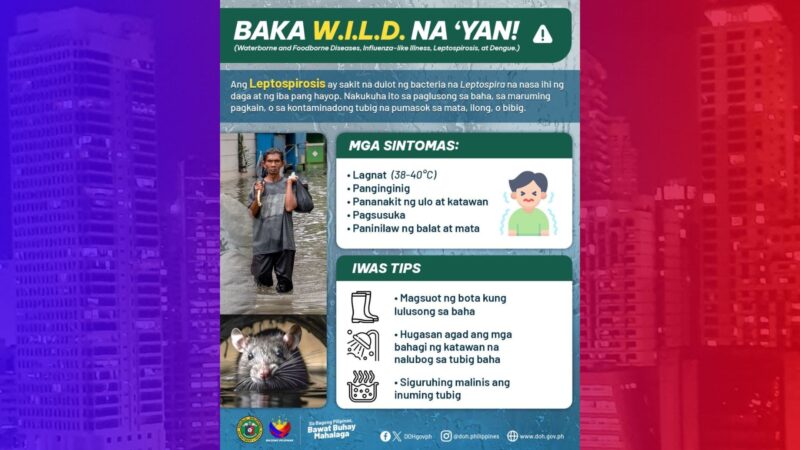 Bacteria na nagdudulot ng sakit na leptospirosis kayang pasukin maging kaliit-liitang sugat ayon sa DOH