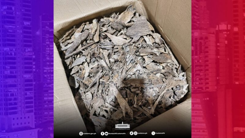 Mahigit P31M na halaga ng mamahaling uri ng kahoy nakumpiska sa warehouse sa Pasay City