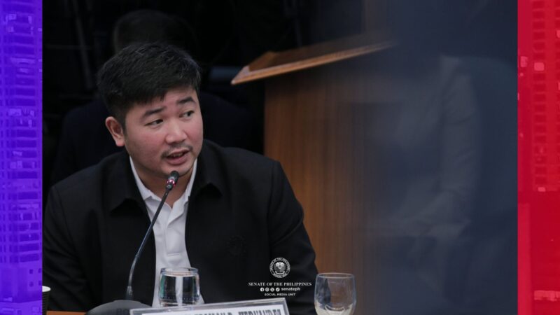 Pangalan ng mga kongresista at hindi pangalan ng mga senador ang nasa files ni Brice Hernandez