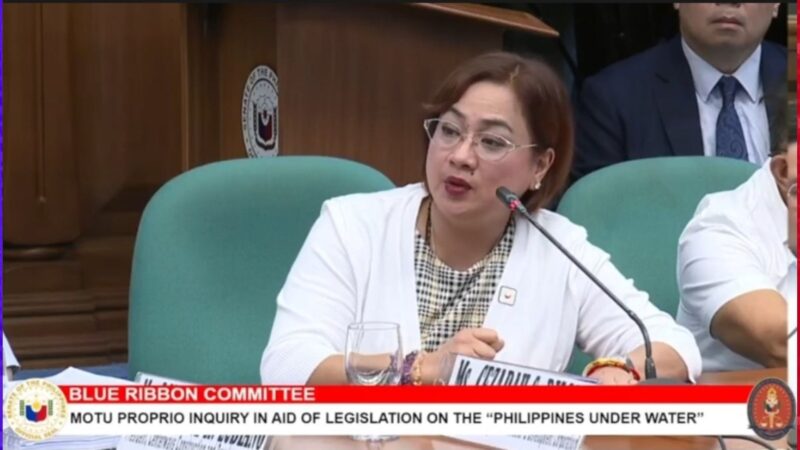 “Bidding-Biddingan”: Mga korporasyon na pag-aari ni Discaya naglalaban-laban sa bidding para sa proyekto ng gobyerno