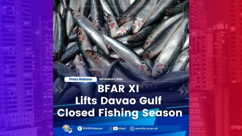 Pag-iral ng closed fishing season sa Davao Gulf binawi na ng BFAR