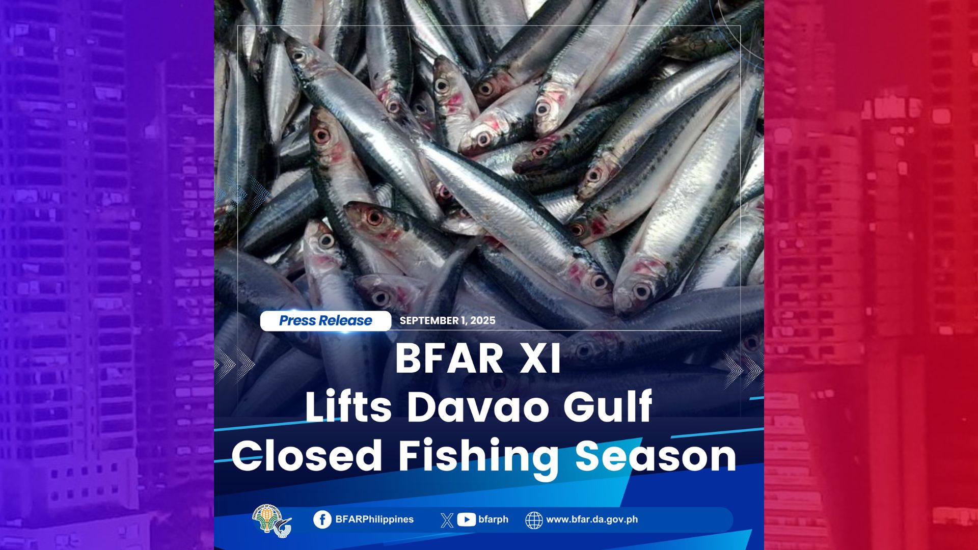 Pag-iral ng closed fishing season sa Davao Gulf binawi na ng BFAR