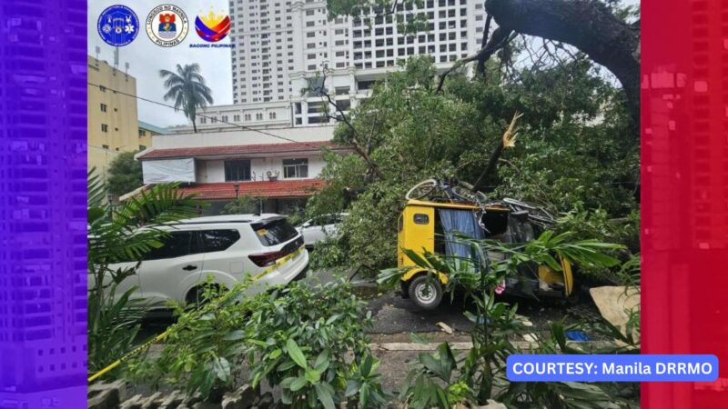 4 na sasakyan bagsakan ng puno sa Roxas Blvd. sa Maynila