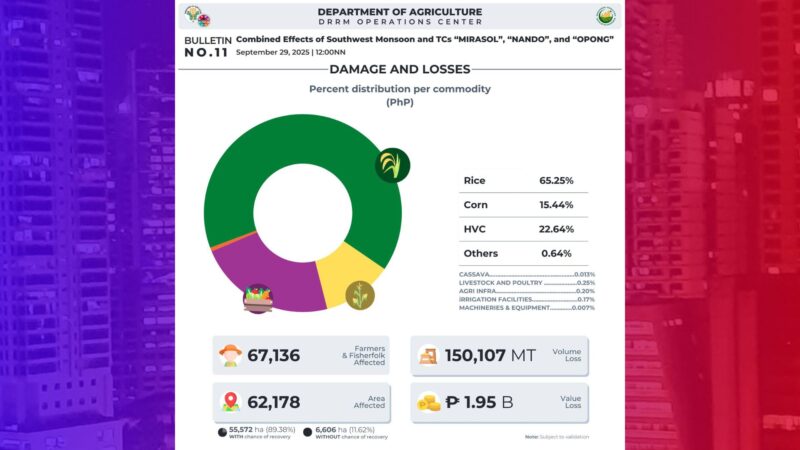 Halaga ng pinsala sa agrikultura ng magkakasunod na bagyo, pumalo na sa P1.95B