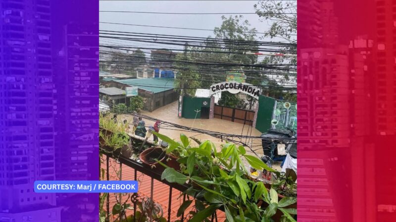 Walang nakatakas na buwaya sa binahang Wildlife sa Talisay City