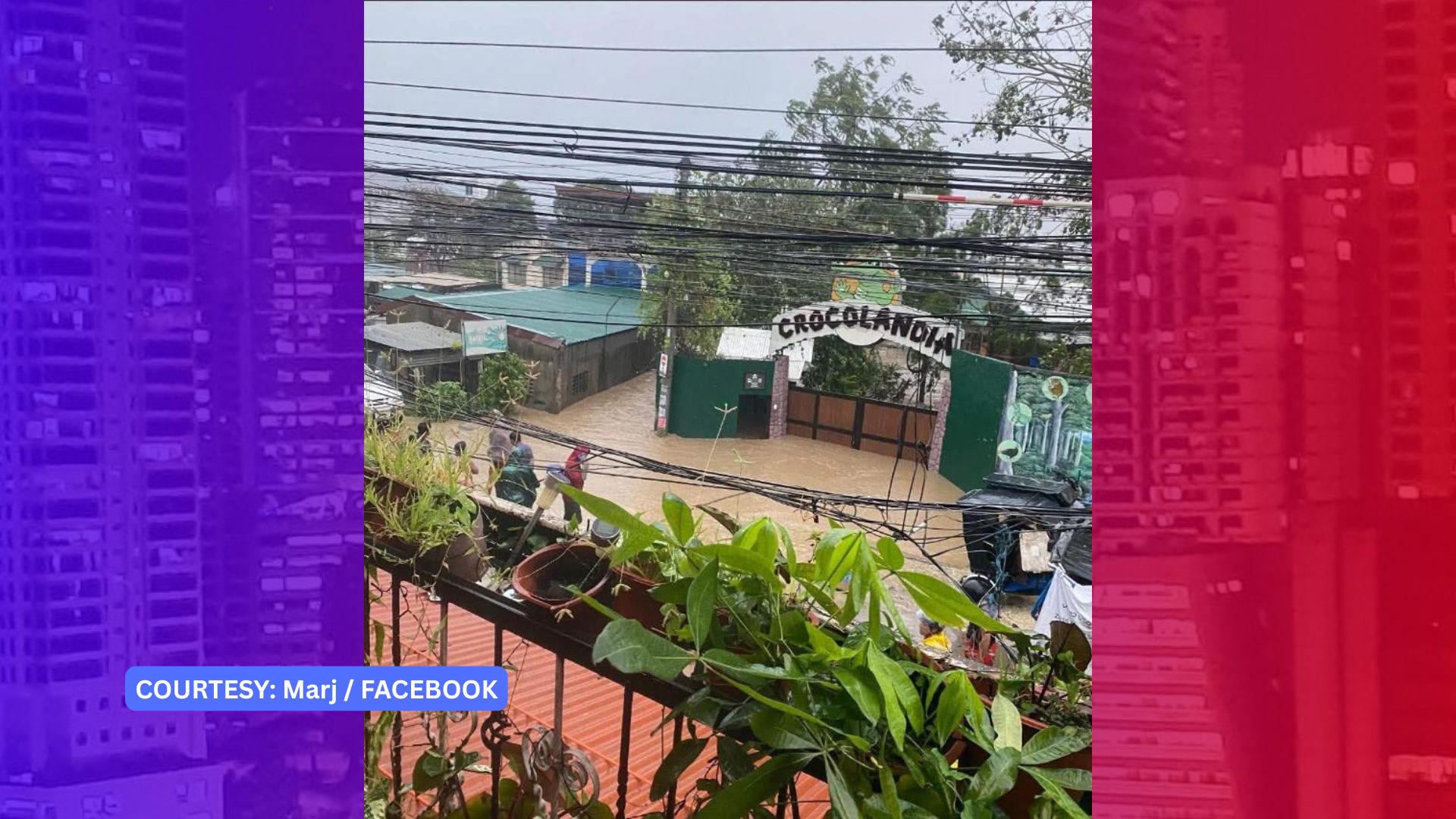 Walang nakatakas na buwaya sa binahang Wildlife sa Talisay City