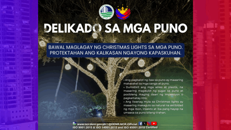 Paalala ng DENR, Christmas lights bawal sa puno