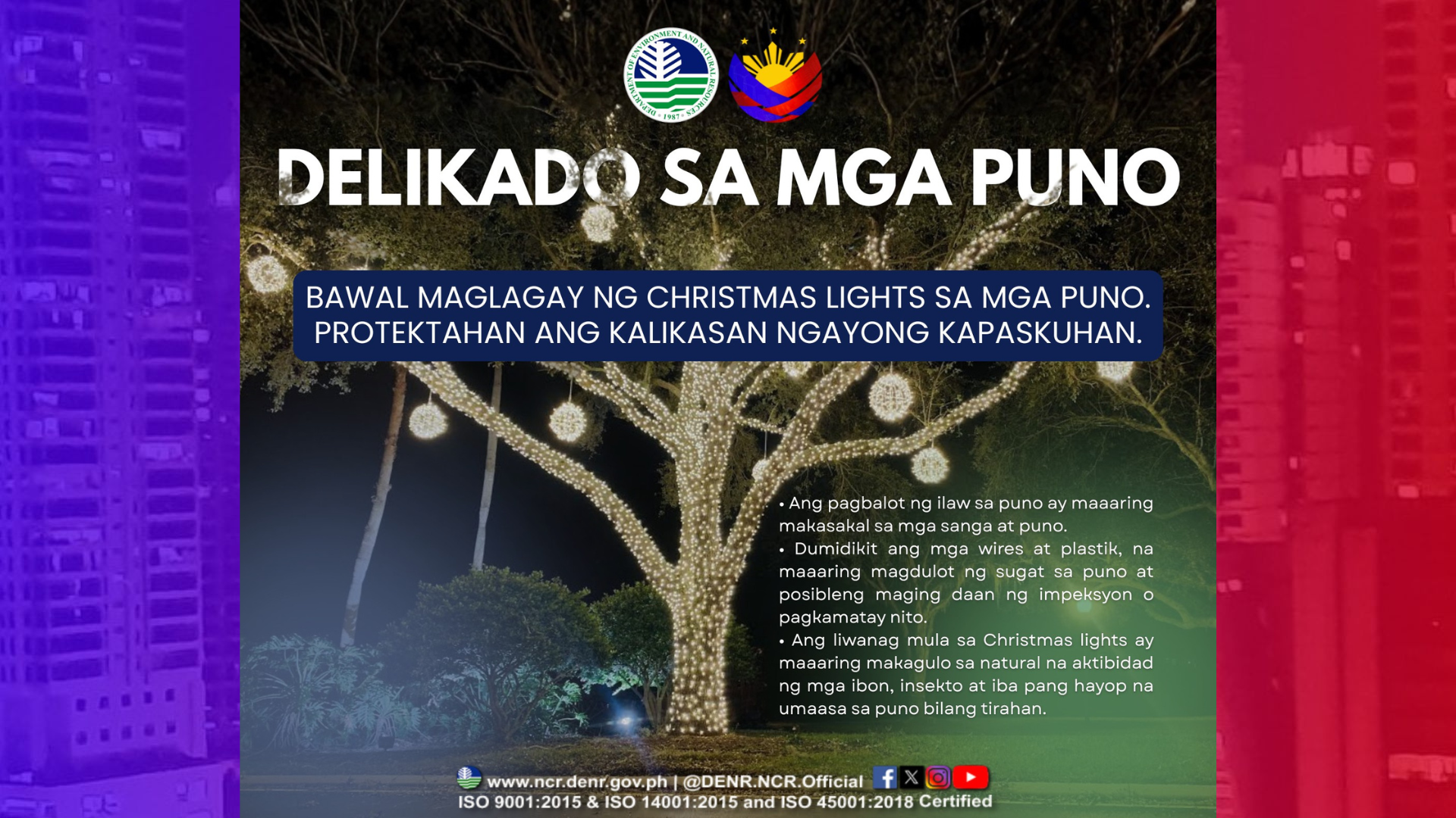 Paalala ng DENR, Christmas lights bawal sa puno