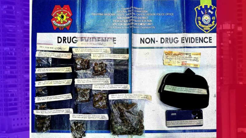 Halos ₱300K na halaga ng marijuana kush nakumpiska, suspek nadakip ng Parañaque CPS