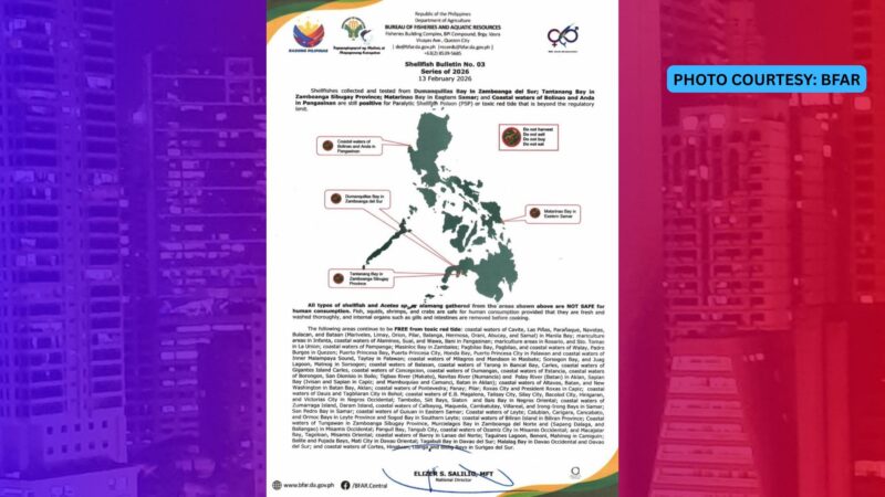 Baybayin ng Zamboanga, Eastern Samar at Pangasinan positibo sa Red Tide