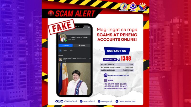 Publiko pinag-iingat sa pekeng socmed gamit ang pangalan ni OWWA Admin Caunan