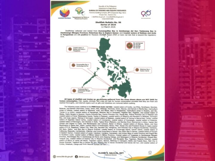 Baybayin ng Zamboanga, Eastern Samar at Pangasinan positibo