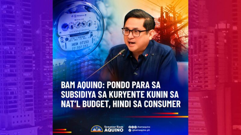 Subsidiya sa kuryente pinasusuri sa Senado