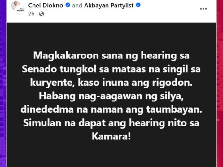 Kapakanan ng consumers naisantabi dahil inuna ang rigodon sa Senado – Diokno