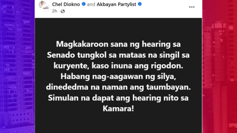 Kapakanan ng consumers naisantabi dahil inuna ang rigodon sa Senado – Diokno