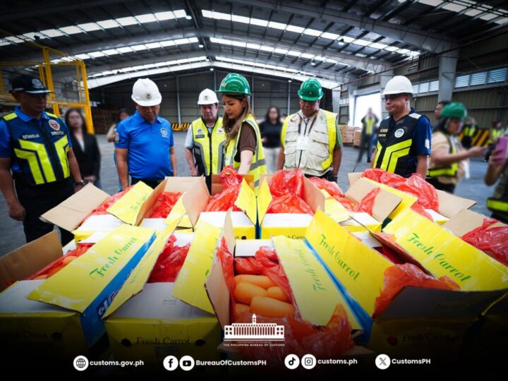 P7.7M smuggled agri products nakumpiska ng Customs