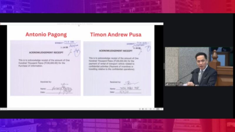 Antonio Pagong, Timon Andrew Pusa ilan lamang sa mga bagong pangalan na lumutang na tumanggap umano ng confidential funds mula OVP
