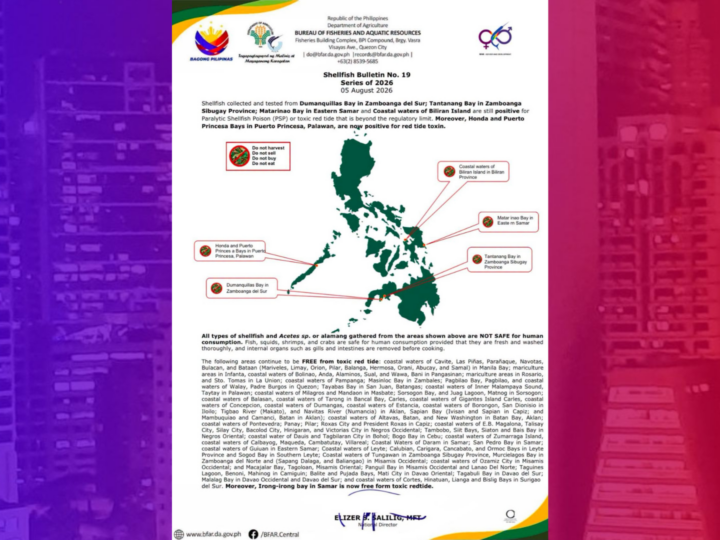 Bahagi ng baybayin ng Eastern Samar, Zamboanga at Palawan positibo sa nakalalasong red tide