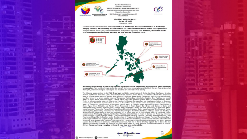 Bahagi ng baybayin ng Eastern Samar, Zamboanga at Palawan positibo sa nakalalasong red tide