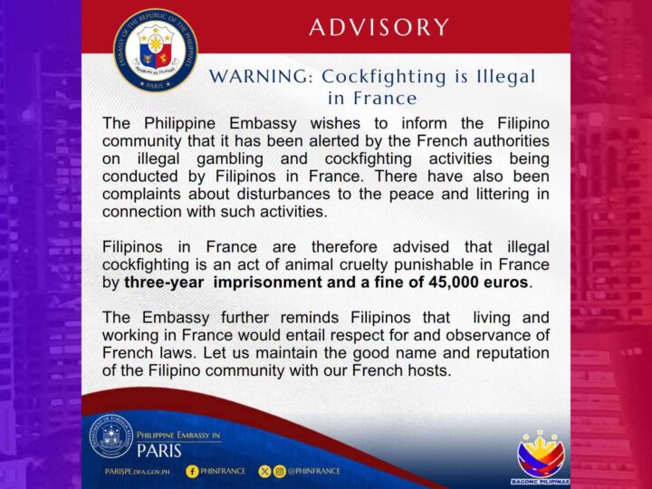 Mga Pinoy na nagsasabong sa France inireklamo sa otoridad